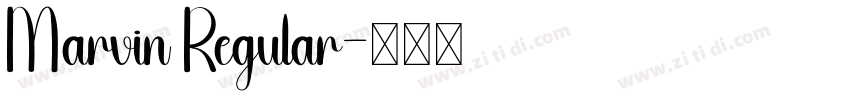 Marvin Regular字体转换